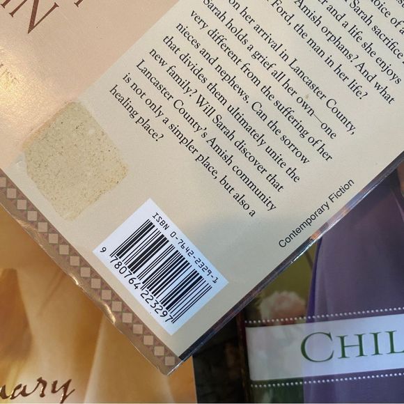 David & Beverly Lewis Amish Novel Books - Picture 7 of 7